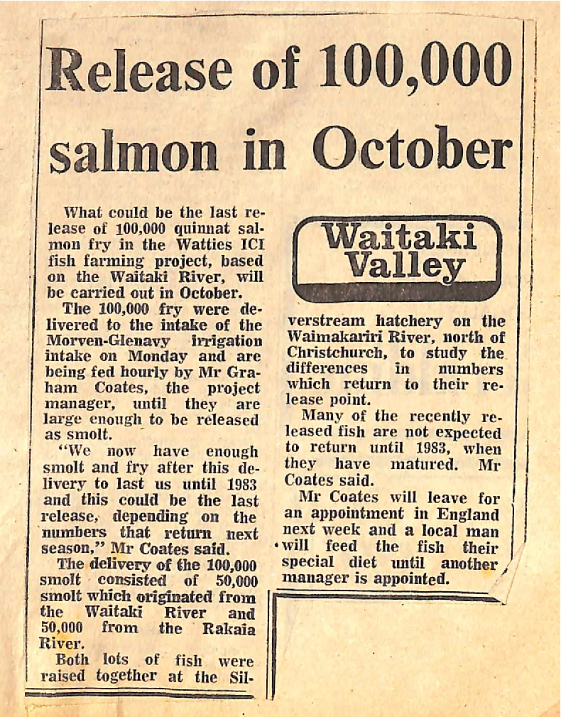Release of 100,000 salmon in October