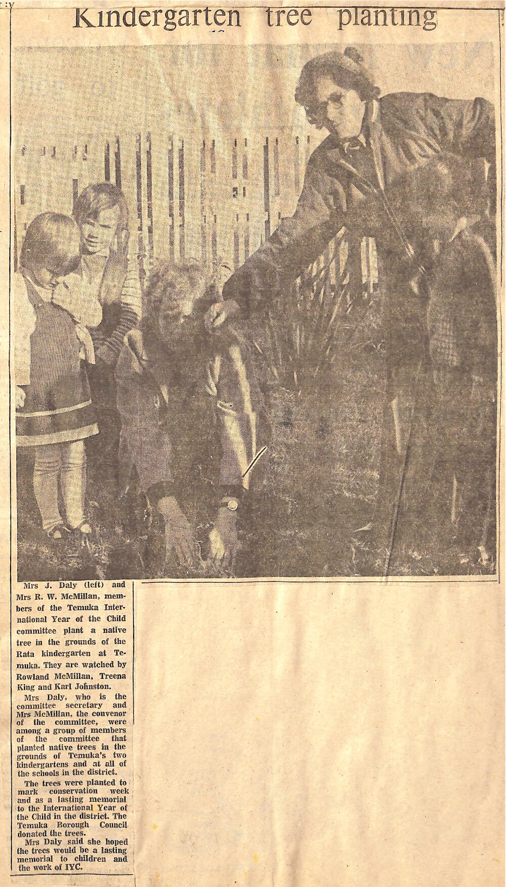 Kindergarten tree planting