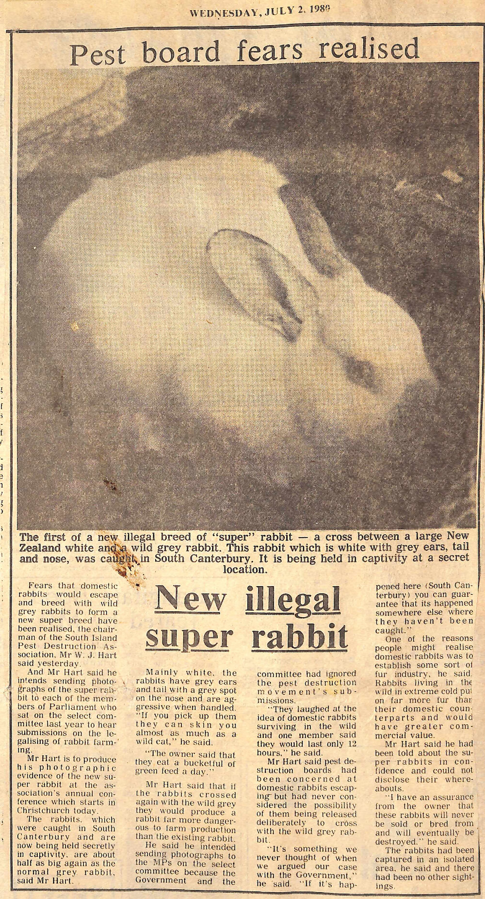 Pest board fears realised