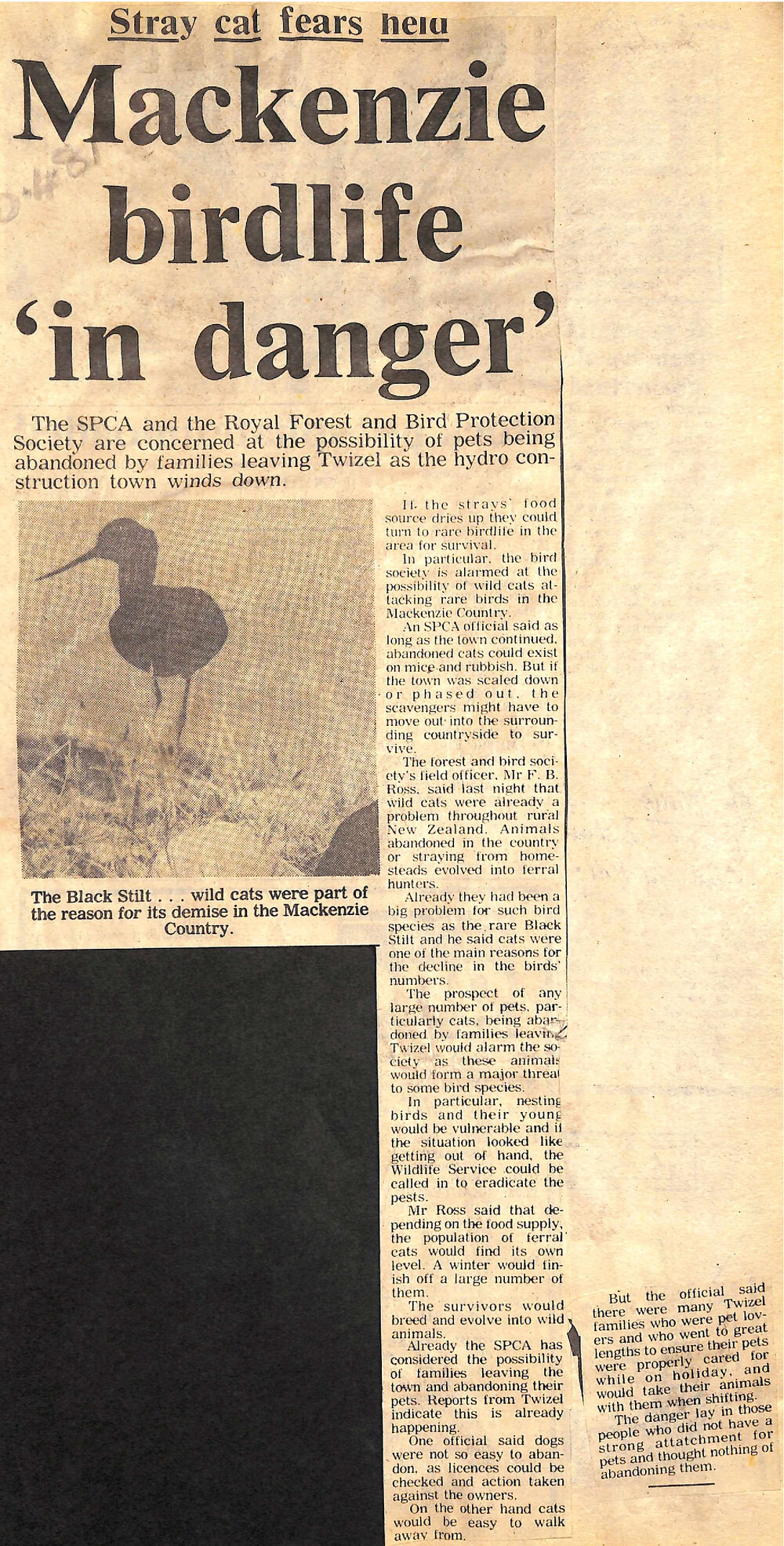 Stray cat fears held: Mackenzie birdlife 'in danger'