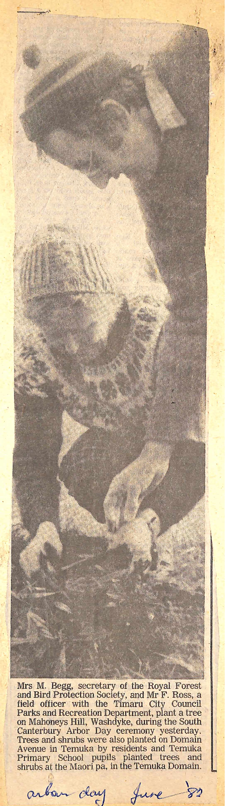 South Canterbury Arbor Day ceremony