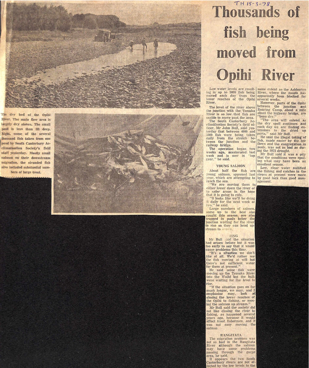 Thousands of fish being removed from Opihi River