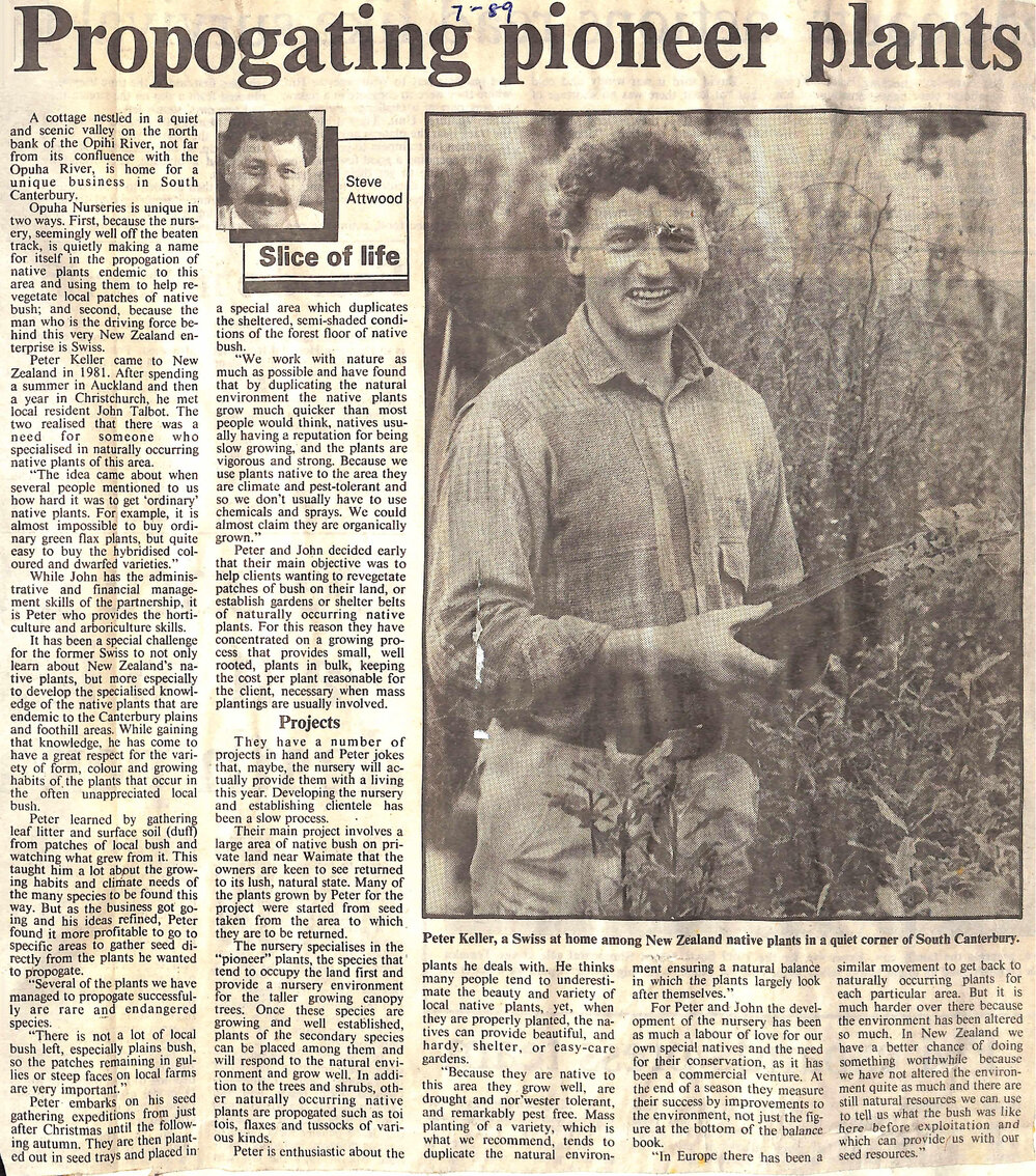 Propogating pioneer plants