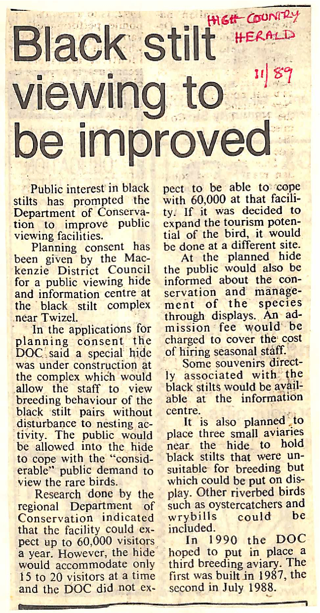 Black stilt viewing to be improved