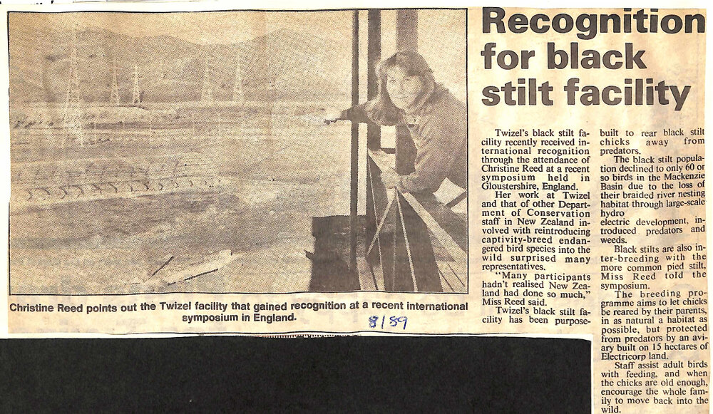 Recognition for black stilt facility