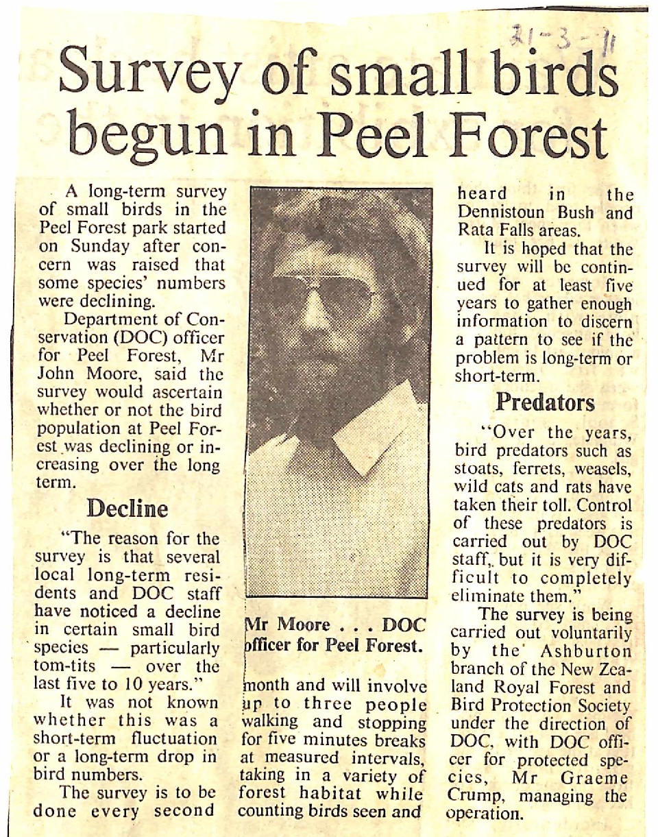 Survey of small birds begun in Peel Forest