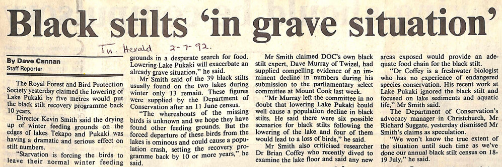 Black stilts 'in grave situation'