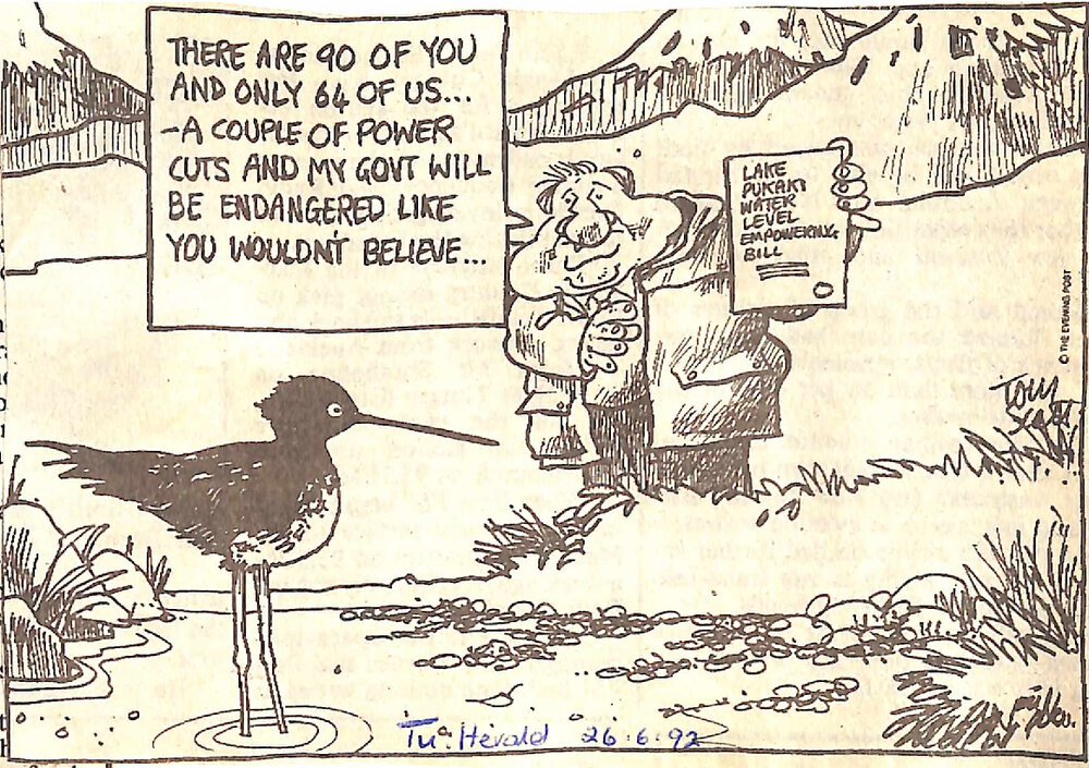 Tom Scott Lake Pukaki/Black stilts cartoon
