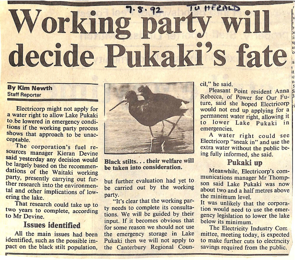 Working party will decide Pukaki's fate