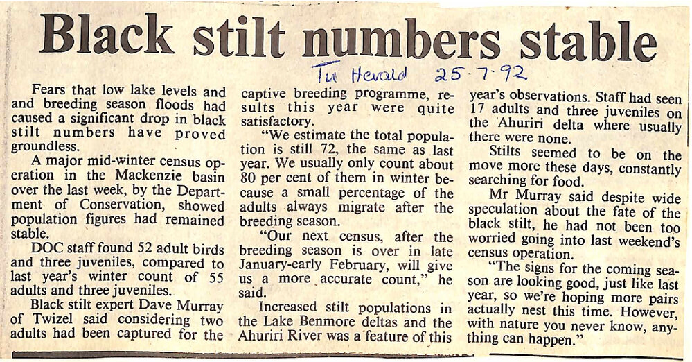 Black stilt numbers stable