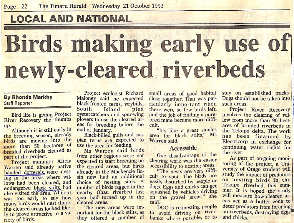 Birds making early use of newly-cleared riverbeds