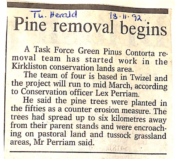 Pine removal begins