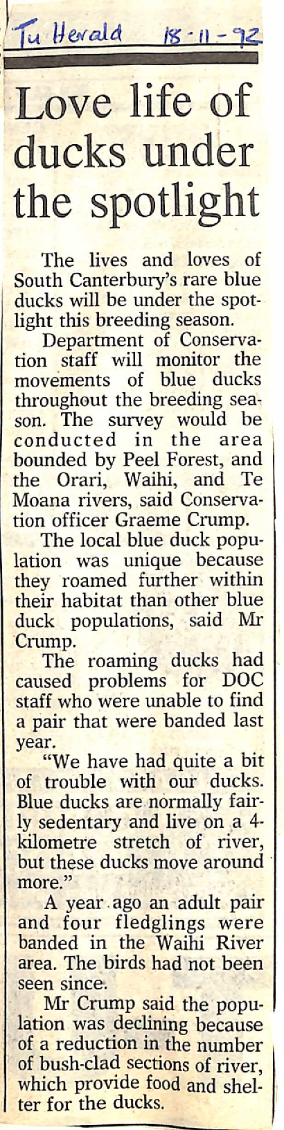 Love life of ducks under the spotlight