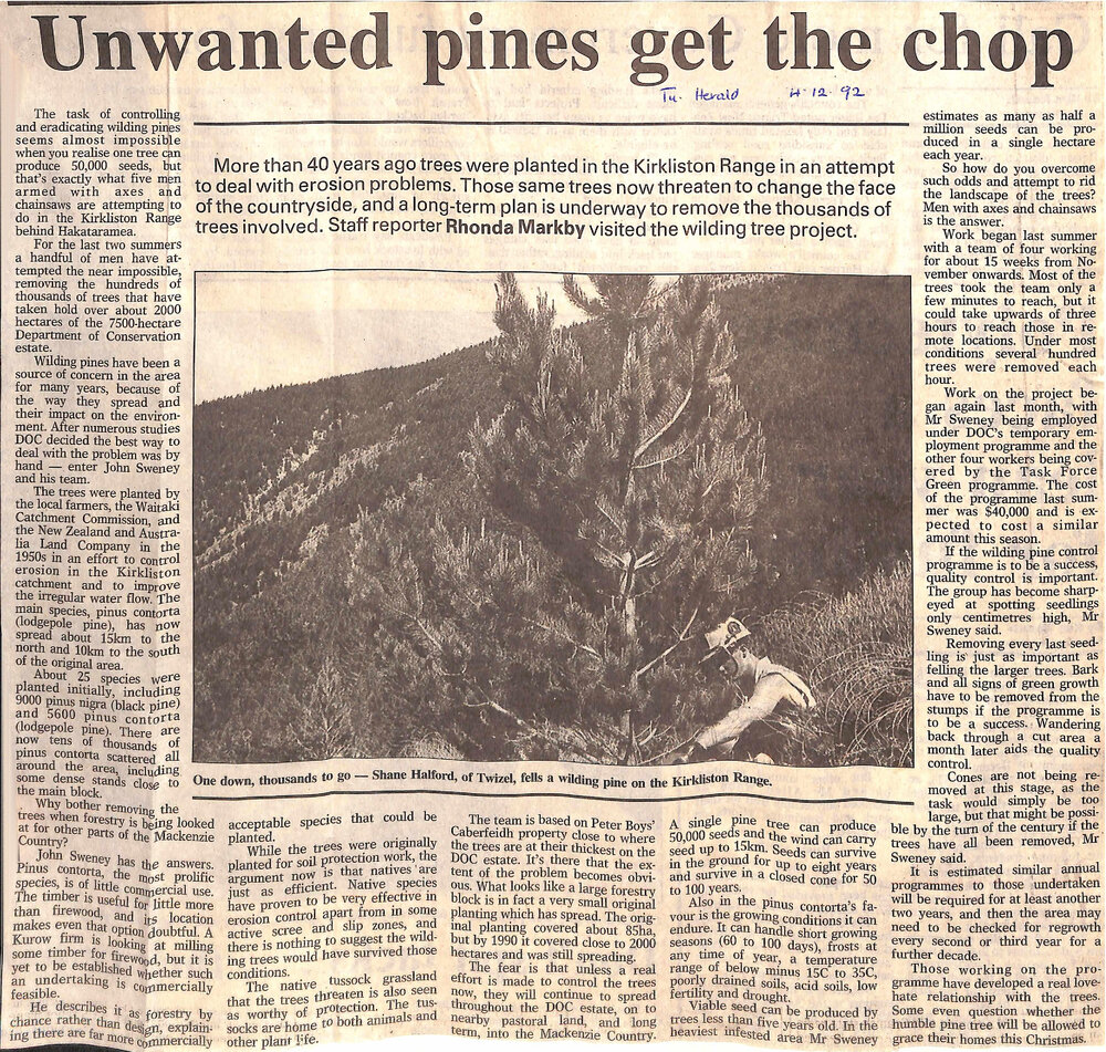 Unwanted pines get the chop