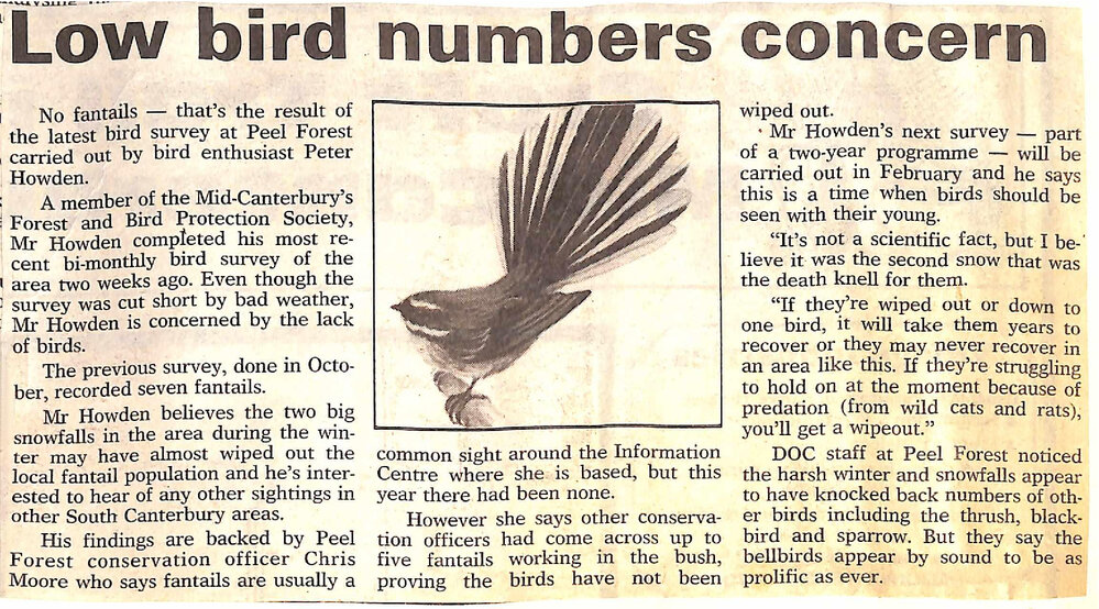 Low bird numbers a concern