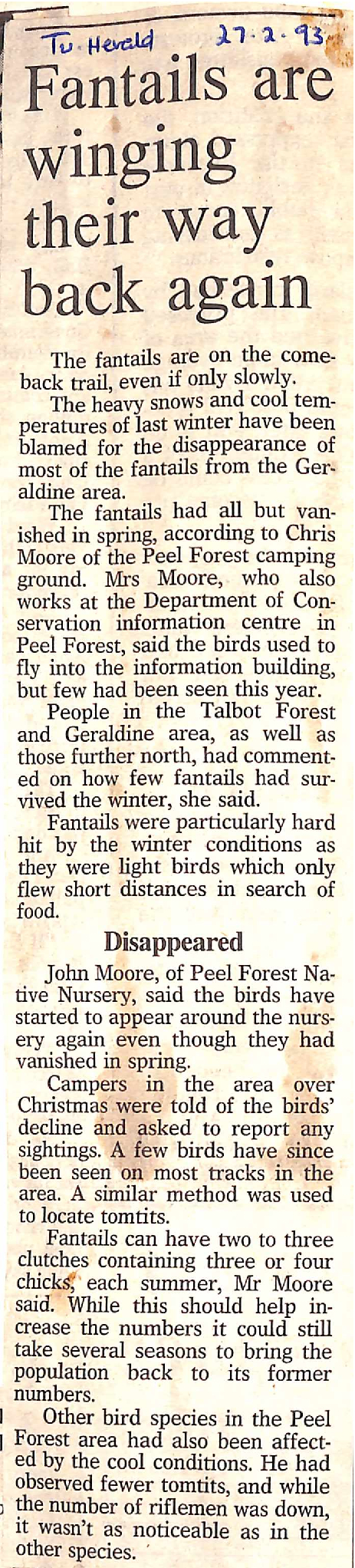 Fantails are winging their way back again
