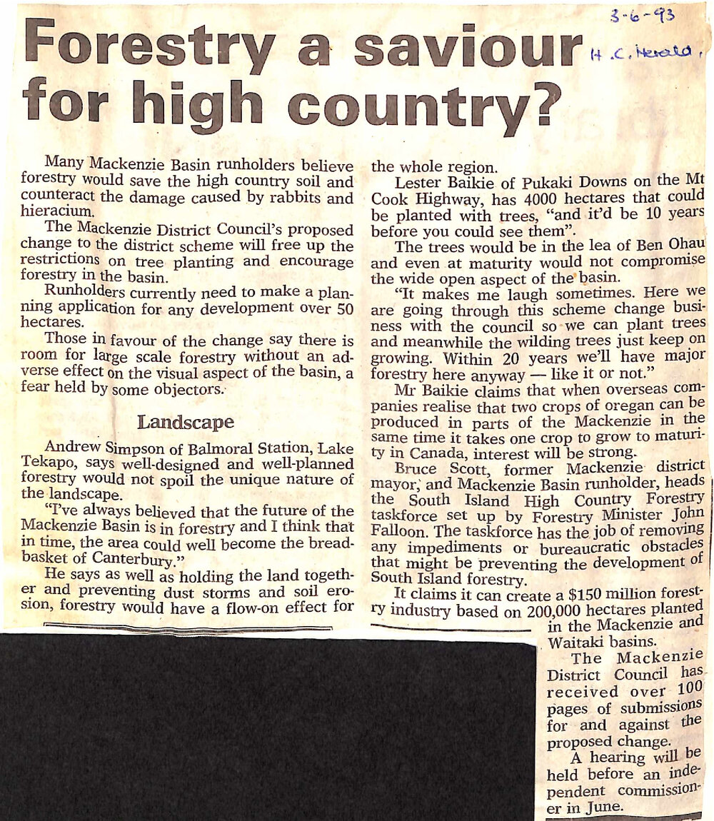 Forestry as a saviour for high country?