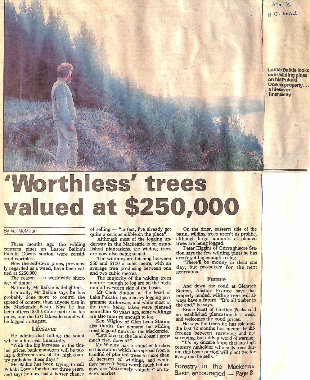  'Worthless' trees valued at $250,000