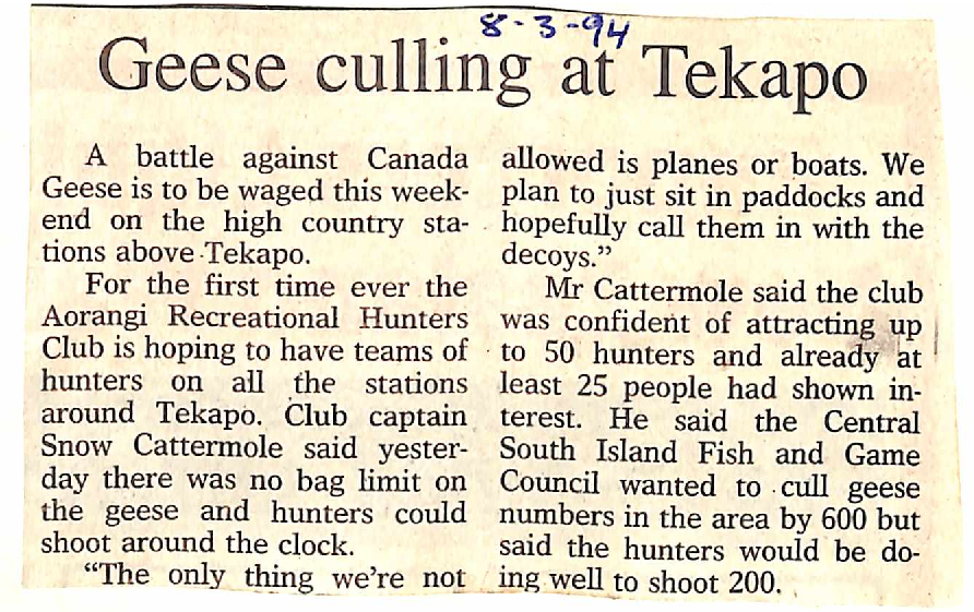 Geese culling at Tekapo