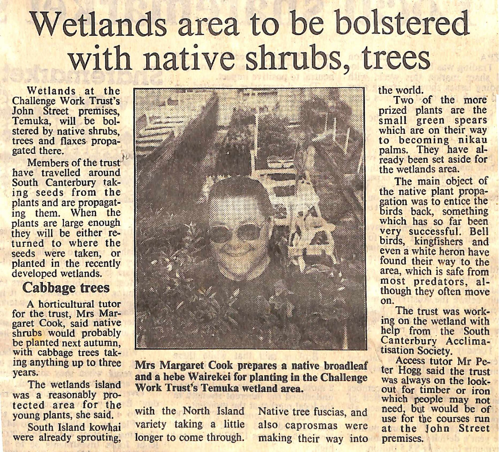 Wetlands area to be bolstered with native shrubs, trees