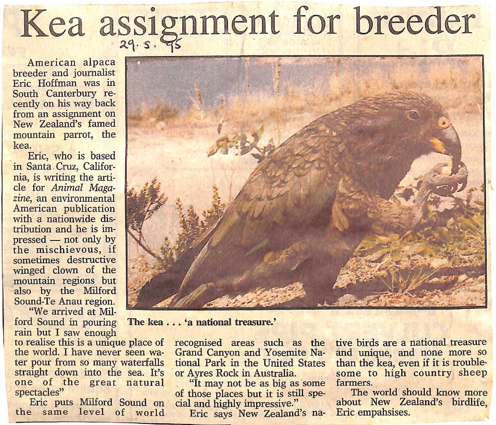 Kea assignment for breeder