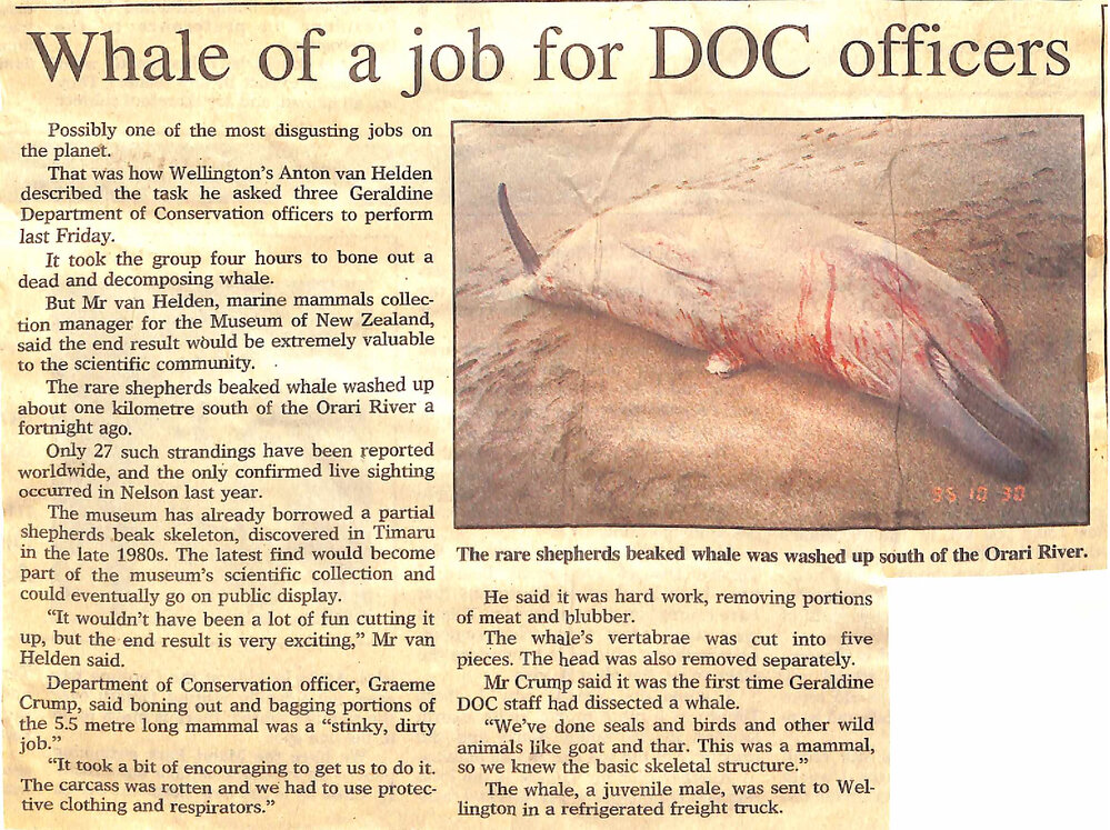 Whale of a job for DOC officers