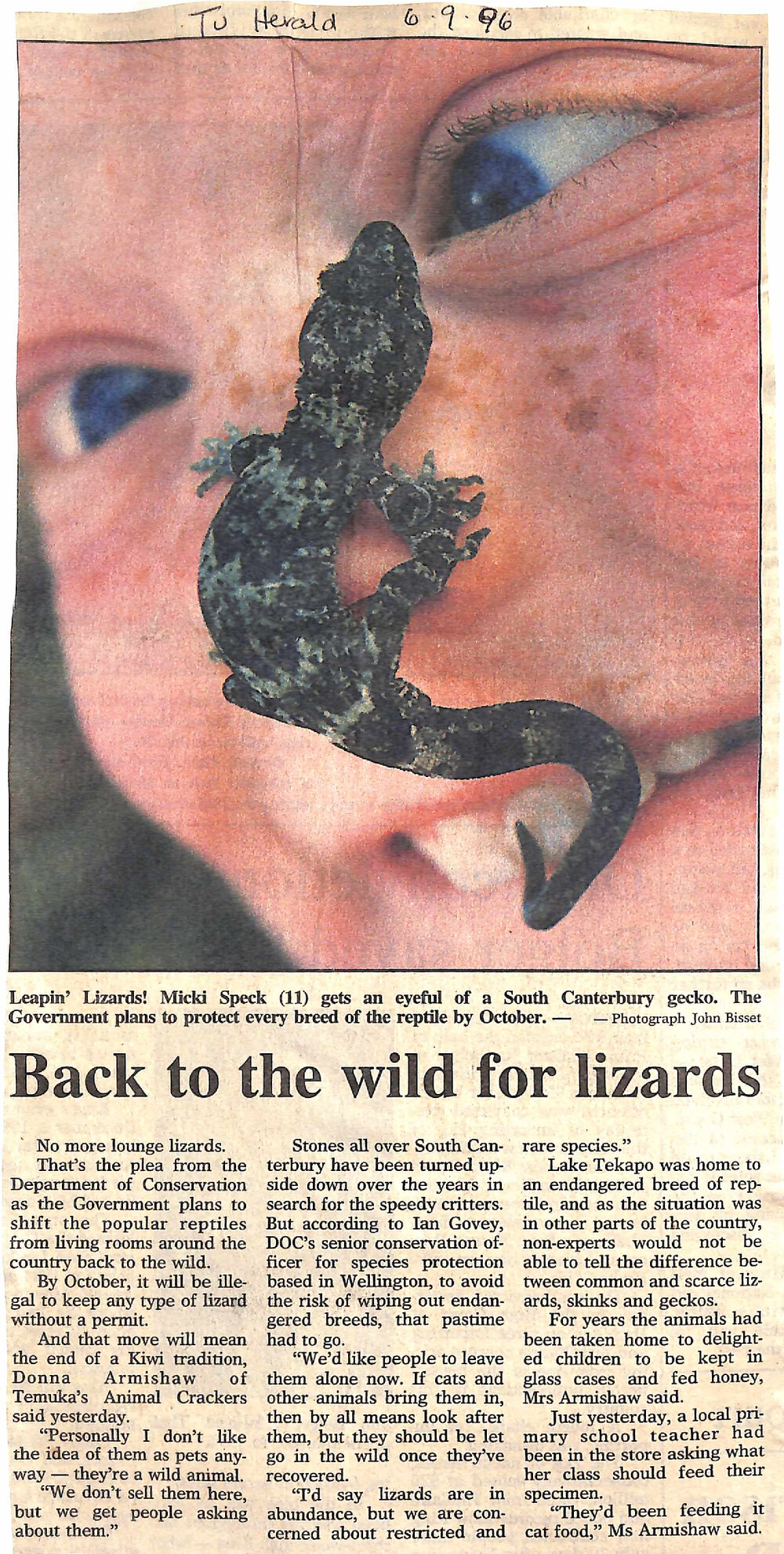 Back to the wild for lizards