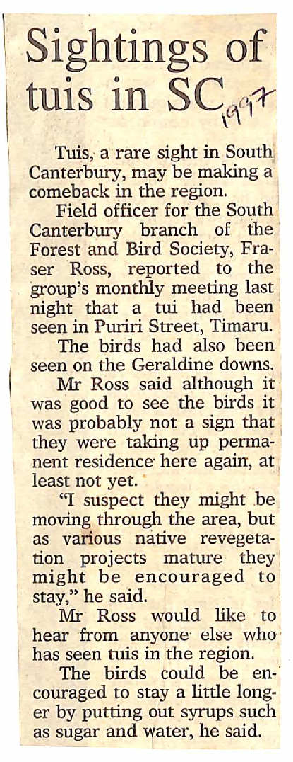 Sightings of tuis of SC