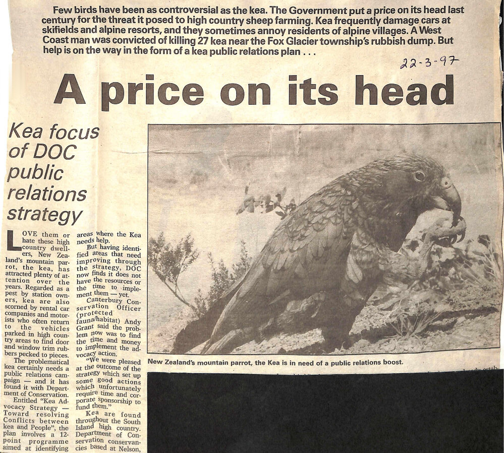 A price on its head: Kea focus of DOC public relations strategy