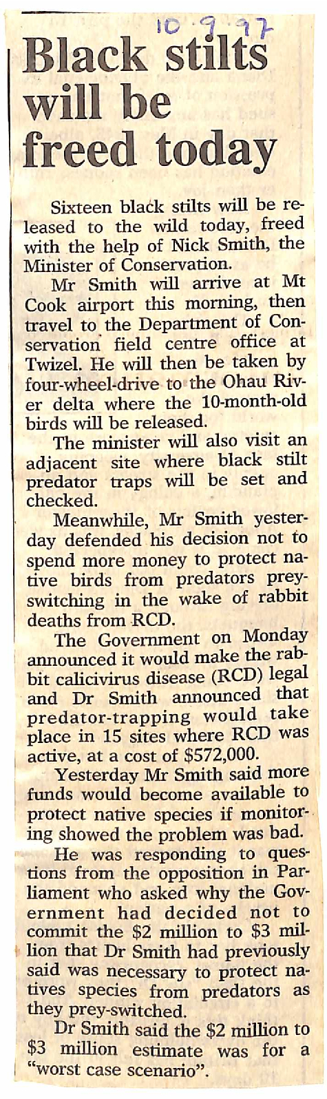 Black stilts will be freed today