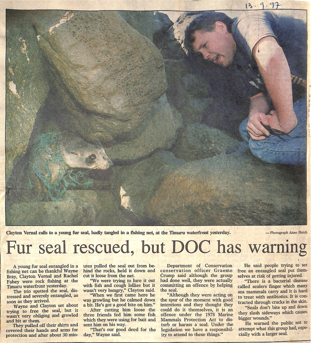 Fur seal rescued, but DOC has warning