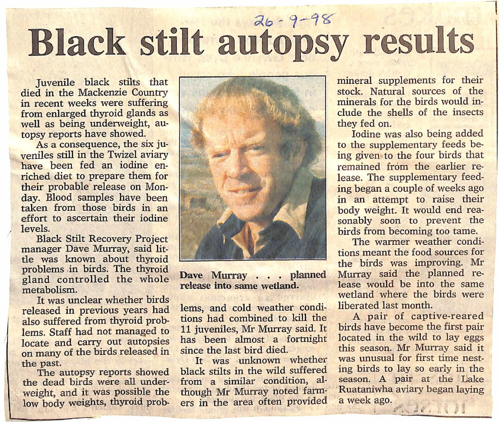 Black stilt autopsy results