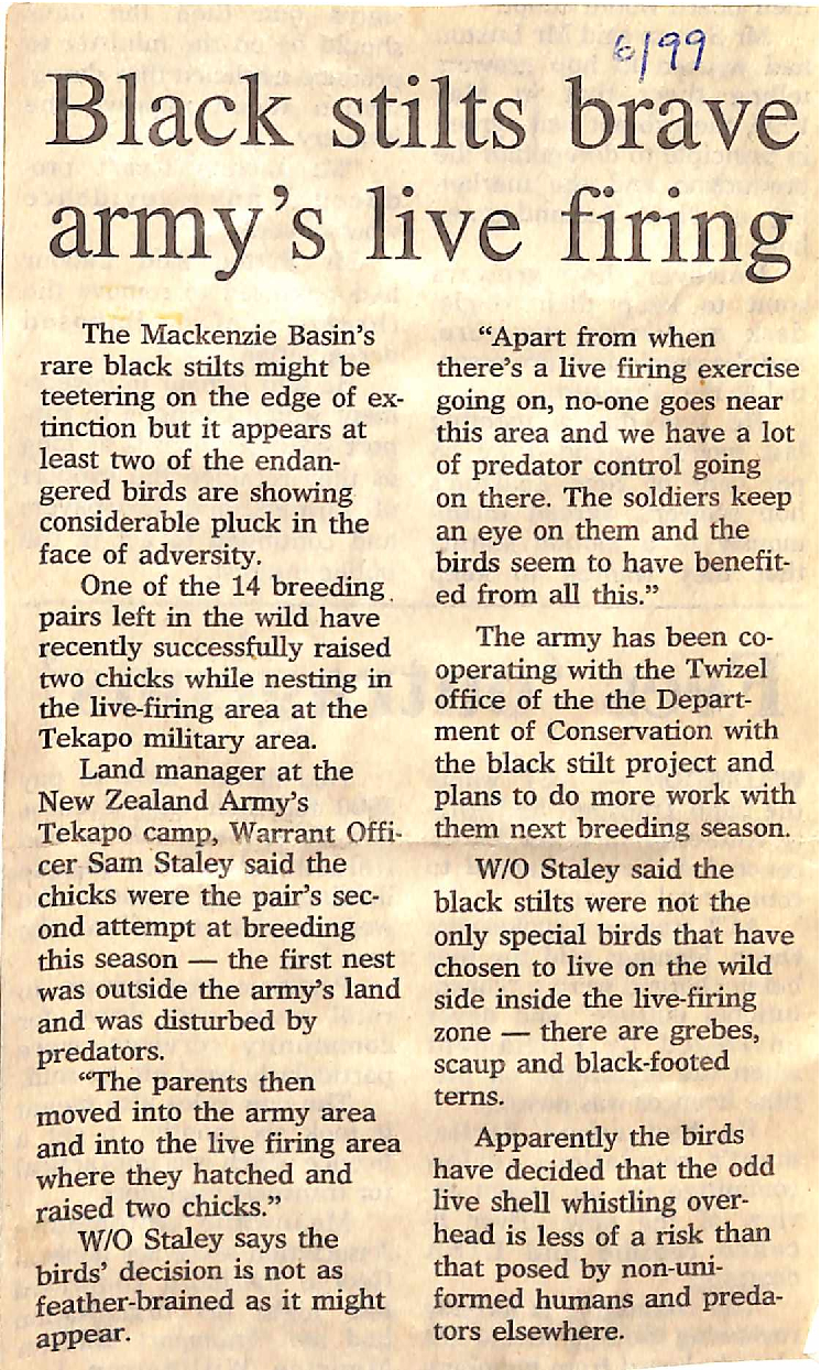 Black stilts brave army's live firing