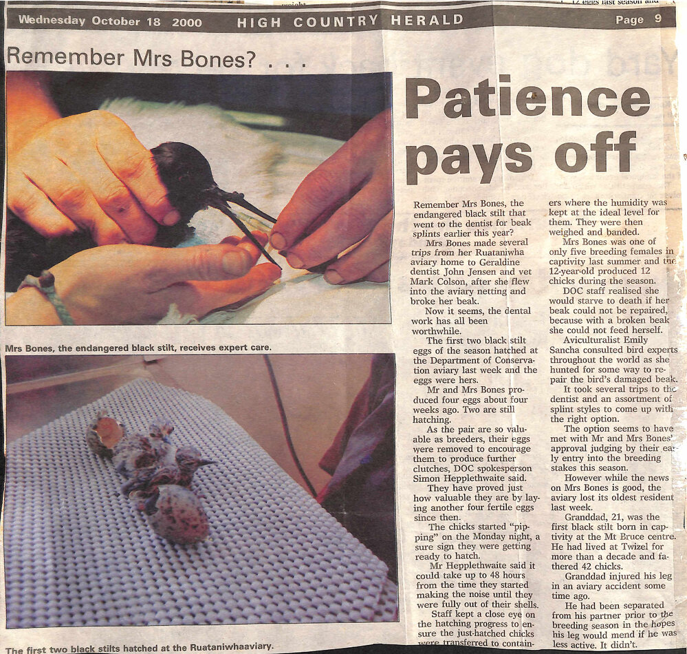 Remember Mrs Bones? Patience pays off