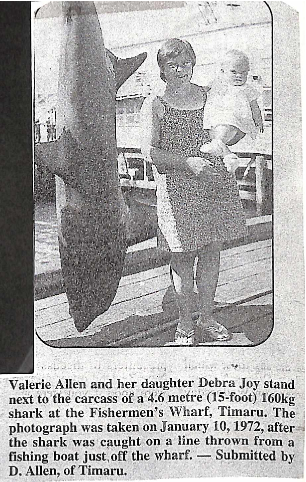 160kg shark caught at the Fishermen's Wharf, Timaru