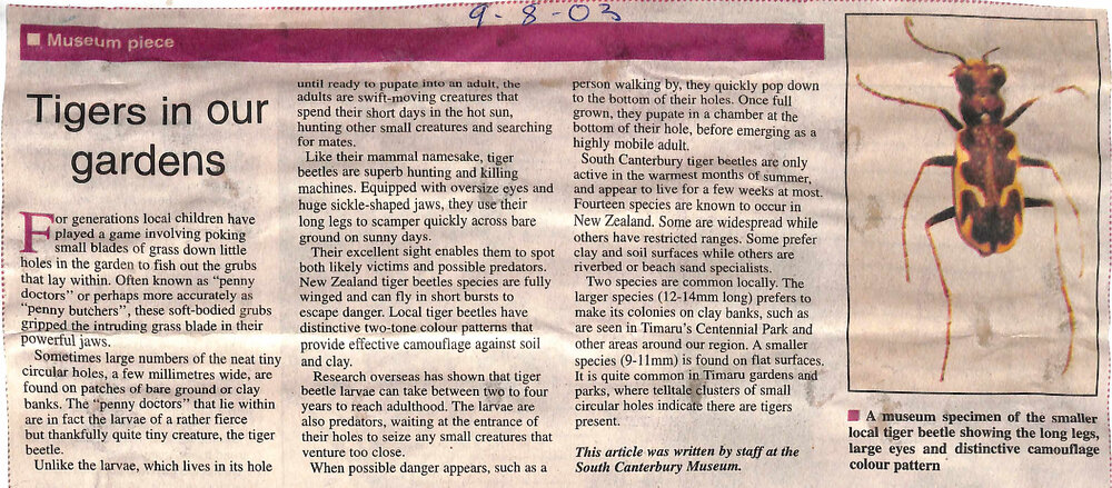 Museum piece: Tigers in our gardens