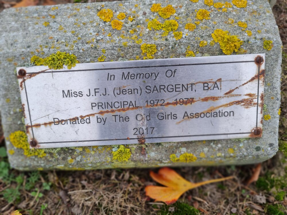 Jean Sargent memorial tree