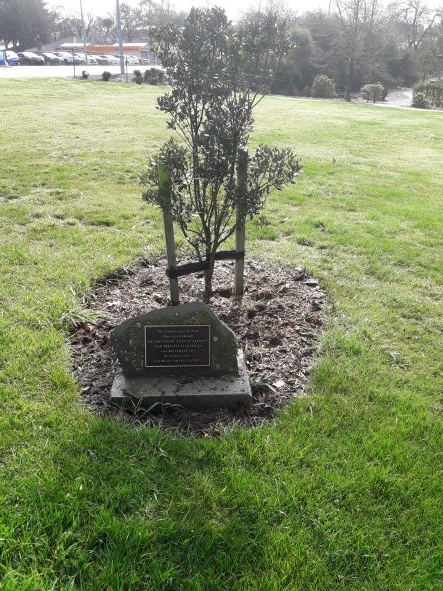 Timaru Botanic Gardens 150th Anniversary commemorative tree