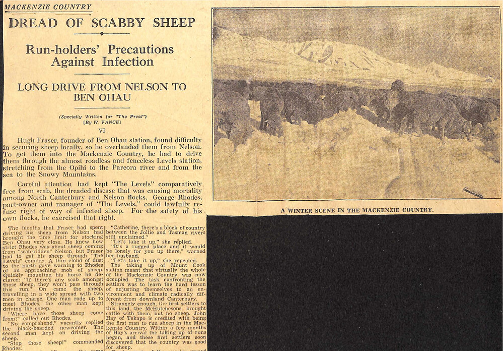 Mackenzie Country VI: Dread of Scabby Sheep, Run-holders' Precautions Against Infection, Long Drive From Nelson To Ben Ohau