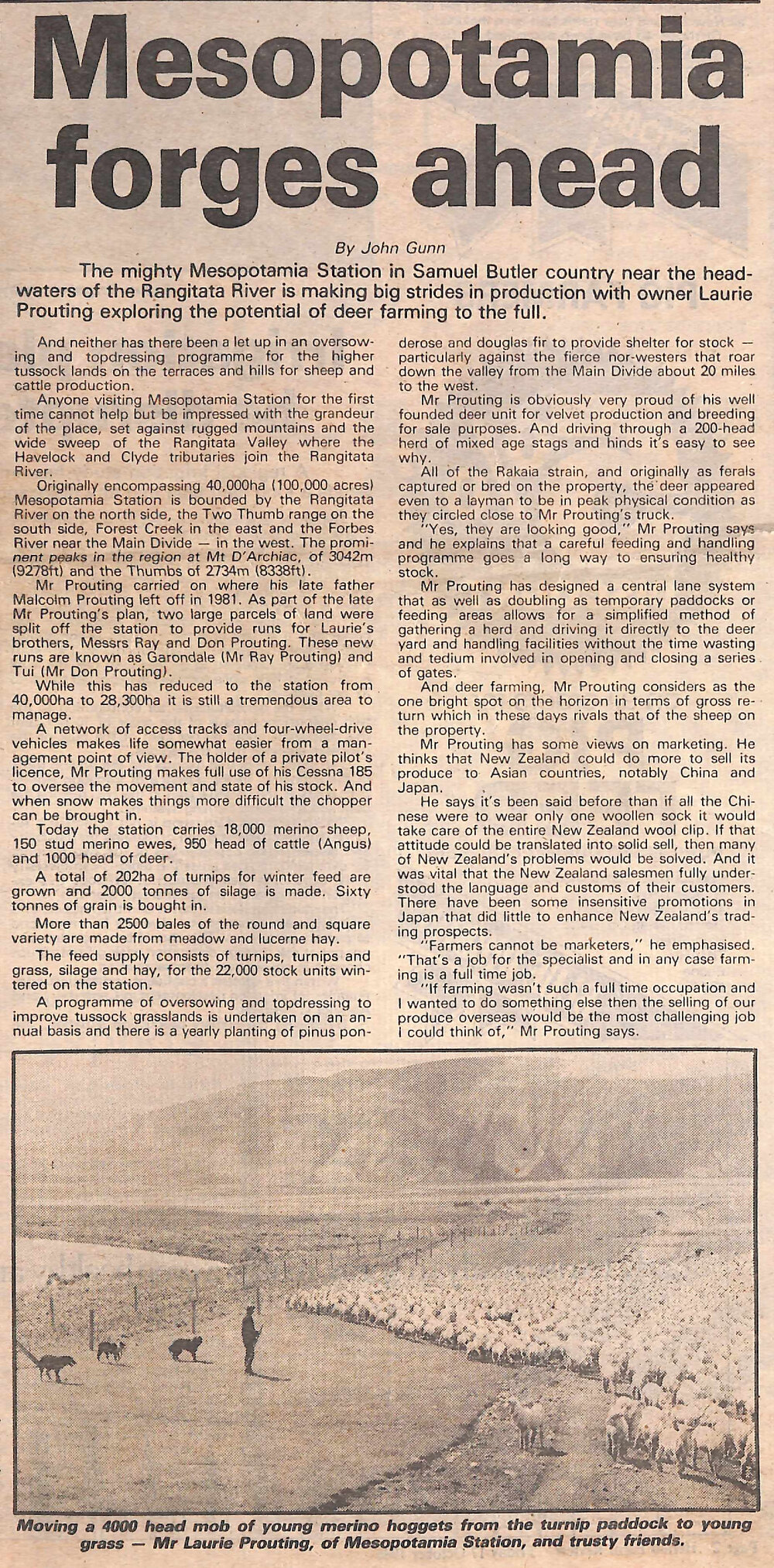 Mesopotamia forges ahead