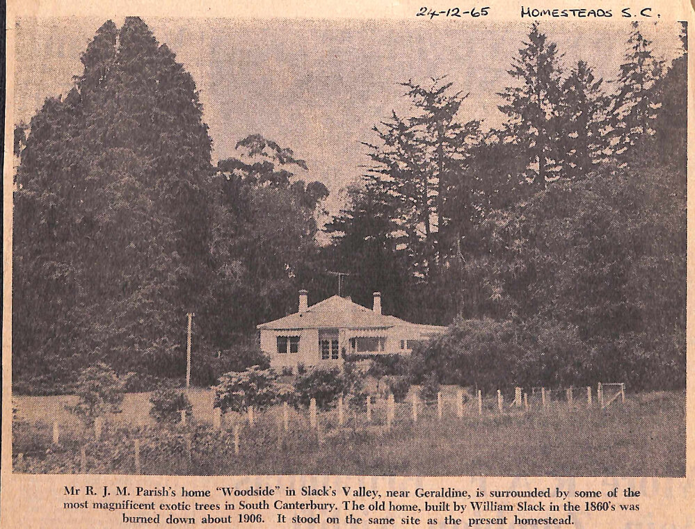 Woodside's Century-old Trees Among Best in the Country