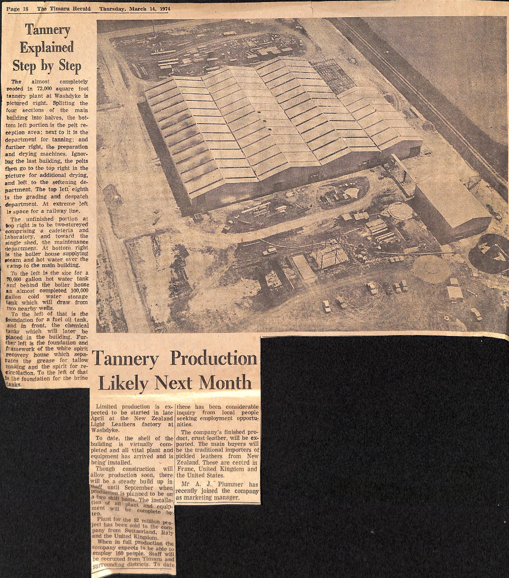 Tannery Explained Step by Step / Tannery Production Likely Next Month