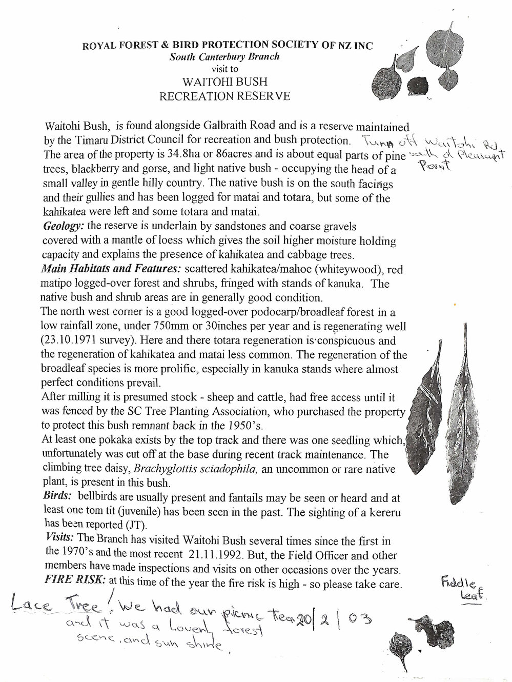 SC Forest &amp; Bird Waitohi Bush visit