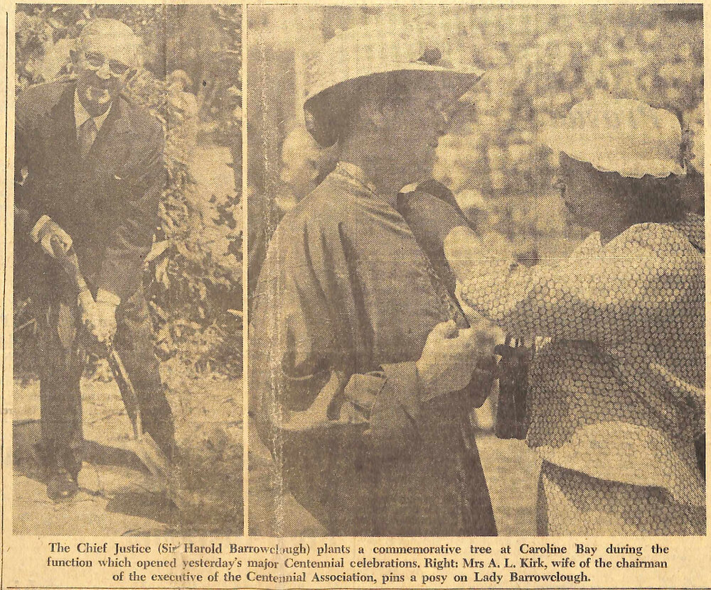 Chief Justice plants commemorative tree at Caroline Bay