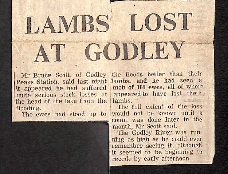 Lambs lost at Godley