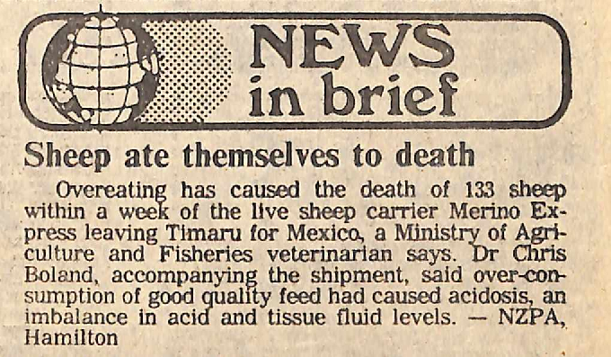 News in brief: Sheep ate themselves to death