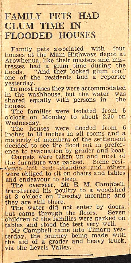 Family Pets Had Glum Times In Flooded Houses