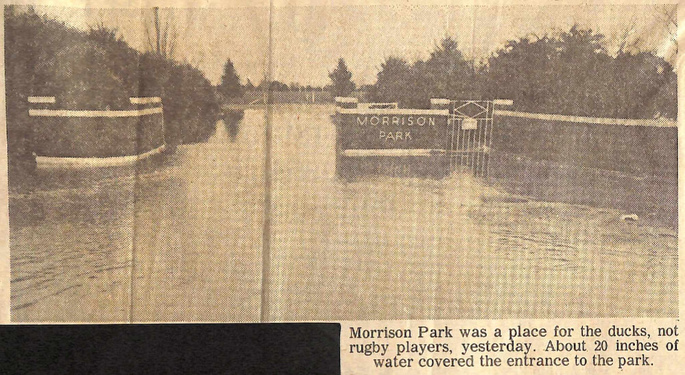 Morrison Park- place for ducks