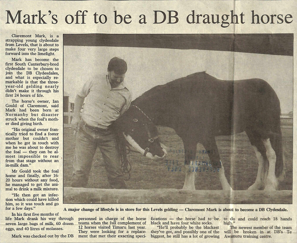 Mark's off to be a DB draught horse
