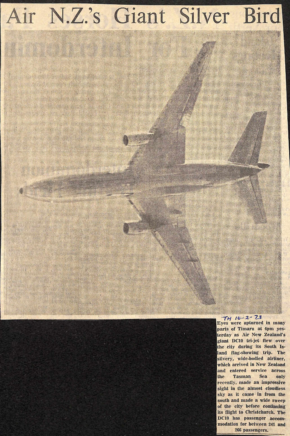 Air NZs Giant Silver Bird